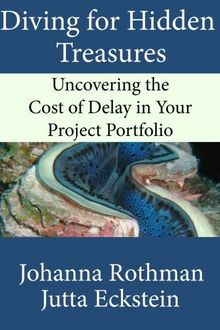 Diving for Hidden Treasures: Uncovering the Cost of Delay in Your Project Portfolio