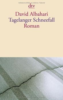 Tagelanger Schneefall: Roman