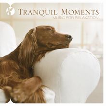 Tranquil Moments Music for Relaxation