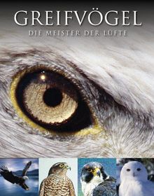 Abenteuer Wildnis Greifvögel: Die Meister der Lüfte