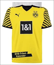 Borussia Dortmund Trikotkalender 2023 - BVB - Bundesliga - Wandkalender mit Monatskalendarium - ca. 34 x 42 cm von Heye Kalender | Buch | Zustand sehr gut