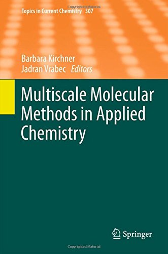 Multiscale Molecular Methods in Applied Chemistry (Topics in Current Chemistry)