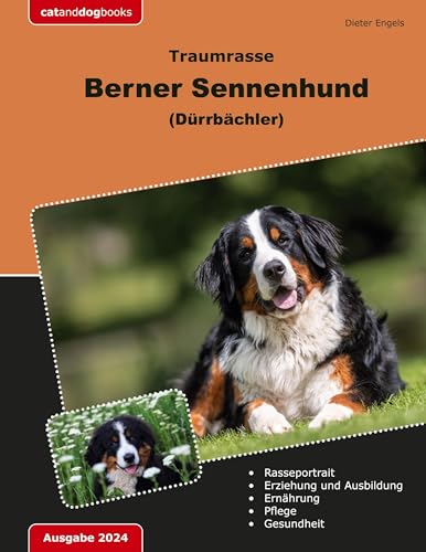 Traumrasse Berner Sennenhund: (Dürrbächler)