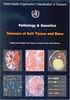 Pathology and Genetics of Tumours of Soft Tissue and Bone (World Health Organization Classification of Tumours)