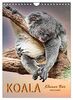 Koala, kleiner Bär (Wandkalender 2023 DIN A4 hoch), Calvendo Monatskalender