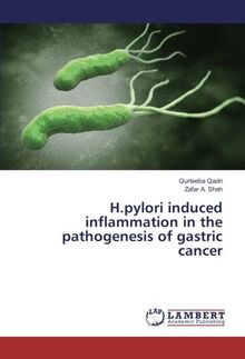 H.pylori induced inflammation in the pathogenesis of gastric cancer