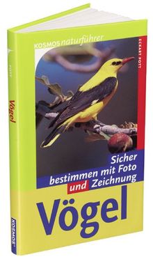 Vögel. Sicher bestimmen mit Foto und Zeichnung