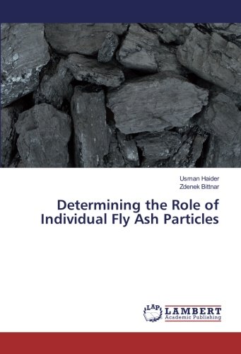 Determining the Role of Individual Fly Ash Particles