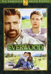 Everwood - Die komplette zweite Staffel [6 DVDs] von Warner Home Video  | DVD | Zustand gut
