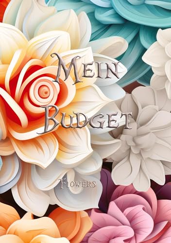 Mein Budget: Ein geführtes Budgetbuch, welches dir hilft, deine finanzielle Gesundheit zu pushen.