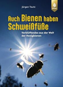 Auch Bienen haben Schweißfüße: Verblüffendes aus der Welt der Honigbienen