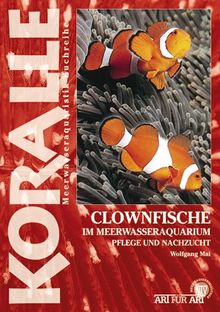 Clownfische im Meerwasseraquarium: Pflege und Nachzucht