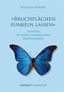 »Bruchflächen funkeln lassen«: Aufsätze zu einer literarischen Morphomatik