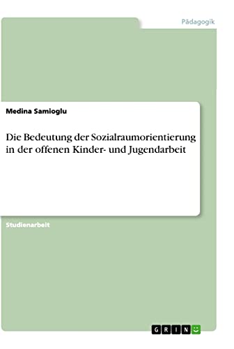 Die Bedeutung der Sozialraumorientierung in der offenen Kinder- und Jugendarbeit