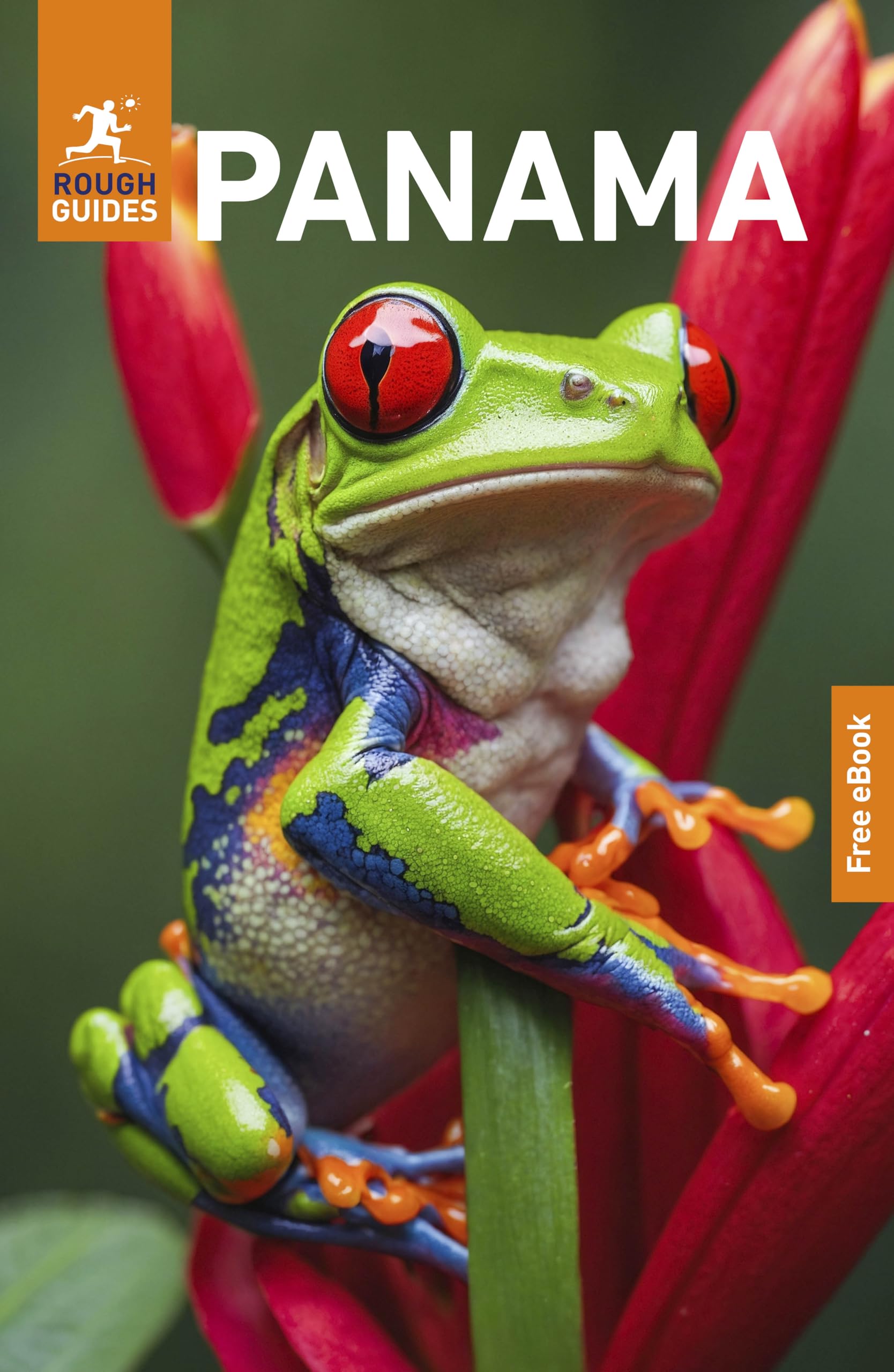 Rough Guides Panama: Travel Guide with eBook (Rough Guide Panama)