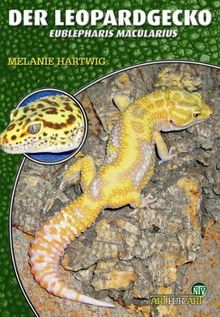 Der Leopardgecko - Eublepharis macularius von Hartwig, Melanie | Buch | Zustand gut