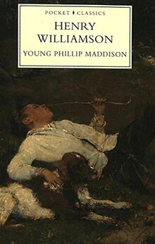 Young Phillip Maddison (Pocket Classics S.)