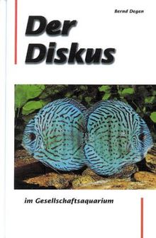 Der Diskus im Gesellschaftsaquarium