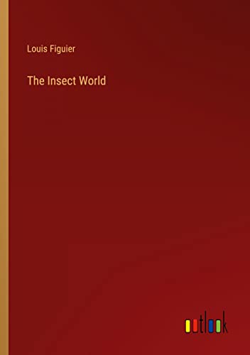 The Insect World