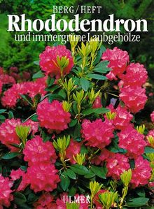 Rhododendron und immergrüne Laubgehölze