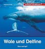 Wale und Delfine: Schauen und Wissen!