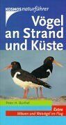 Vögel an Strand und Küste