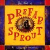 A Life Of Surprises - The Best Of Prefab Sprout