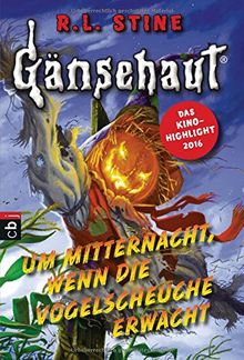 Gänsehaut - Um Mitternacht, wenn die Vogelscheuche erwacht (Die Gänsehaut-Reihe, Band 6)