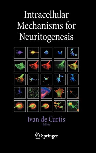 Intracellular Mechanisms for Neuritogenesis
