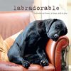 Labradorable: Labradors at Home, at Play, and at Rest