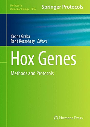 Hox Genes: Methods and Protocols (Methods in Molecular Biology)