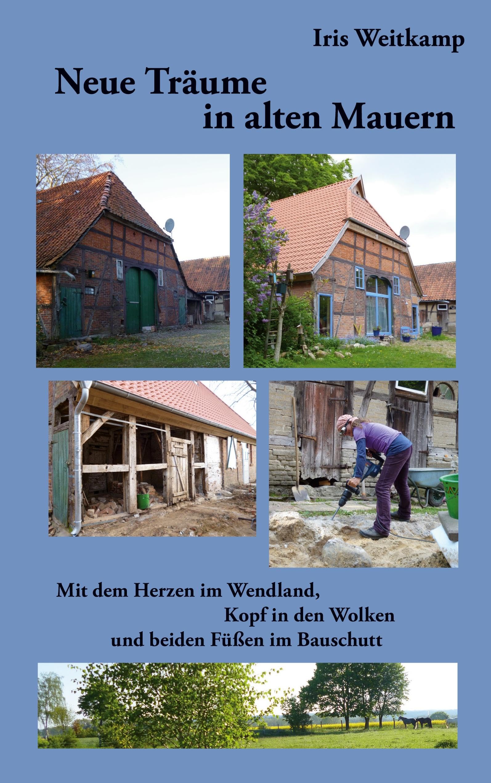 Neue Träume in alten Mauern: Mit dem Herzen im Wendland, Kopf in den Wolken und beiden Füßen im Bauschutt