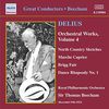 Orchesterwerke Vol.4