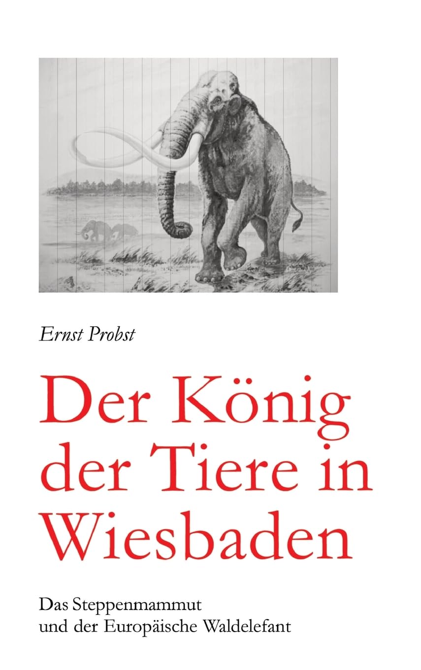 Der König der Tiere in Wiesbaden: Das Steppenmammut und der Europäische Waldelefant