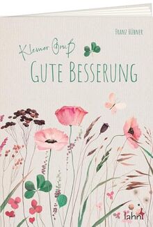 Kleiner Gruß - Gute Besserung (Geschenkhefte Kleiner Gruß)