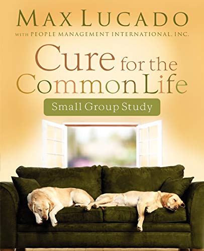 Cure for the Common Life Small Group Study