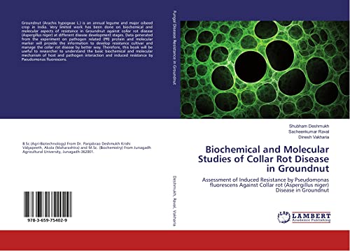 Biochemical and Molecular Studies of Collar Rot Disease in Groundnut: Assessment of Induced Resistance by Pseudomonas fluorescens Against Collar rot (Aspergillus niger) Disease in Groundnut