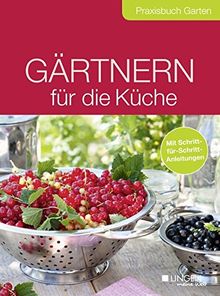 Gärtnern für die Küche: Praxisbuch Garten