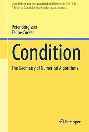 Condition: The Geometry of Numerical Algorithms (Grundlehren der mathematischen Wissenschaften)