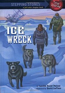 Ice Wreck (A Stepping Stone Book(TM))