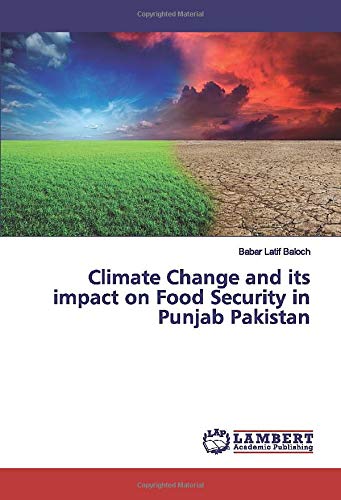 Climate Change and its impact on Food Security in Punjab Pakistan