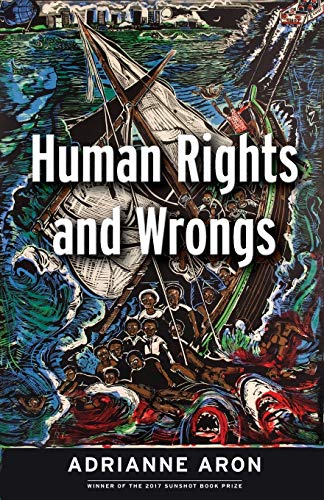 Adrianne Aron Human Rights And Wrongs, Reluctant Heroes Fight Tyranny