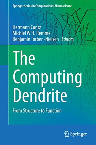 The Computing Dendrite: From Structure to Function (Springer Series in Computational Neuroscience)