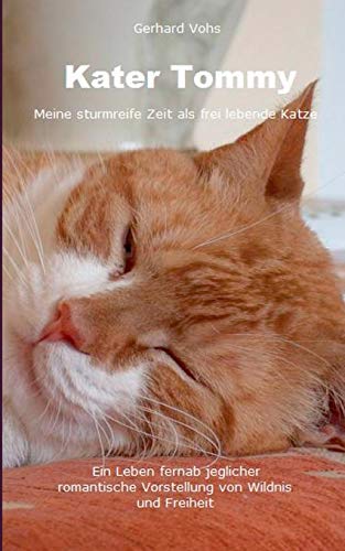 Kater Tommy: Meine sturmreife Zeit als frei lebende Katze