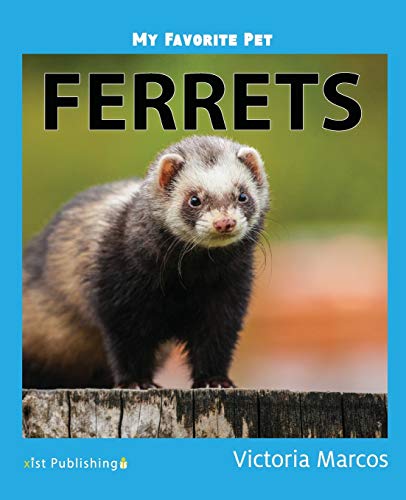 My Favorite Pet: Ferrets (My Favorite Pets, Band 7)