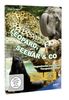 Leopard, Seebär & Co. (4 DVDs)