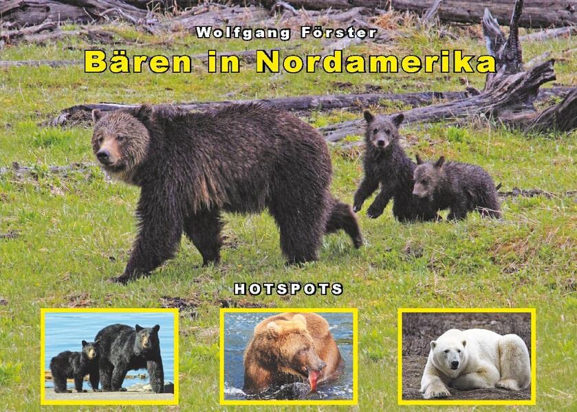 Bären in Nordamerika: Schwarzbären - Braunbären - Eisbären - Hotspots