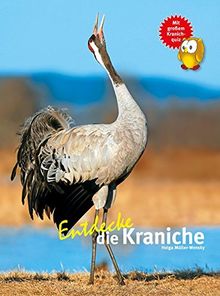 Entdecke die Kraniche (NTV Kinderbuch)