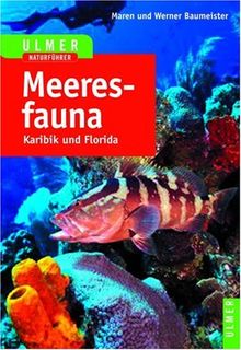 Meeresfauna Karibik und Florida