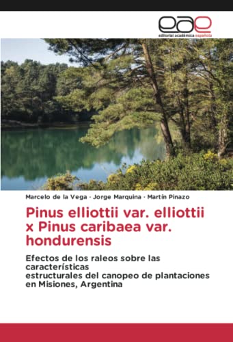Pinus elliottii var. elliottii x Pinus caribaea var. hondurensis: Efectos de los raleos sobre las características estructurales del canopeo de plantaciones en Misiones, Argentina